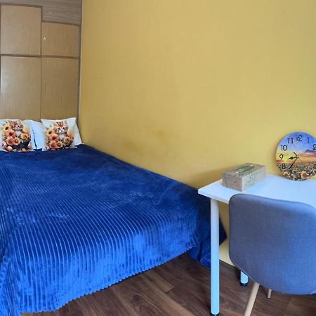 Travel House Wroclaw Otel Dış mekan fotoğraf